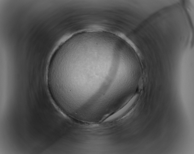 X0000086751477200705041417