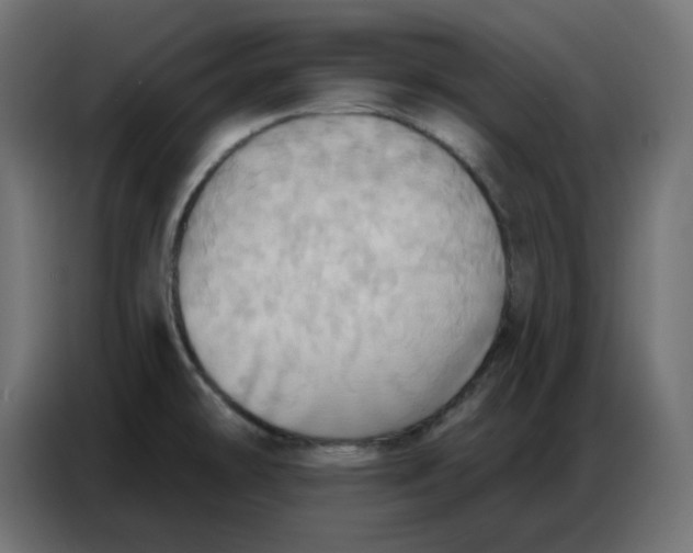 X0000086751478200705041417