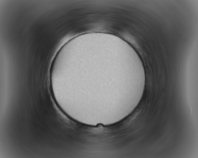 X0000086751479200705041417