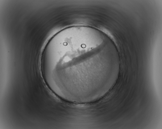 X0000086751480200705041417