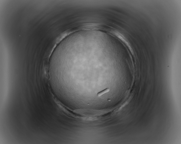 X0000086751481200705041417