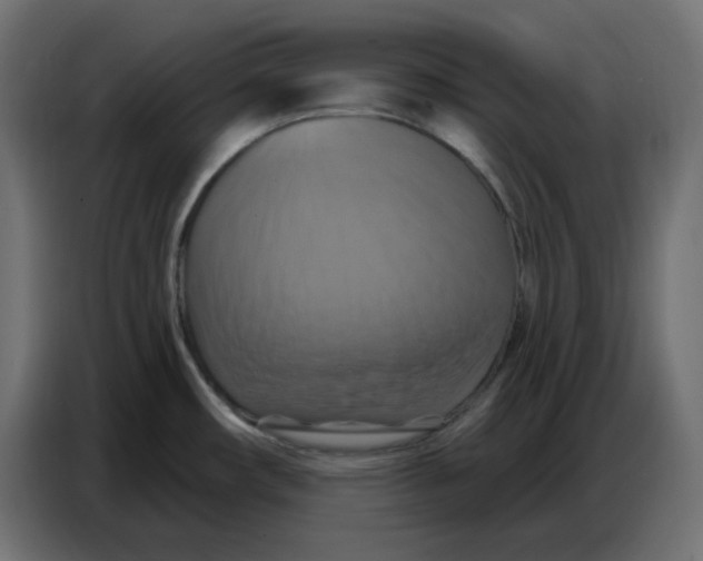 X0000086751482200705041417