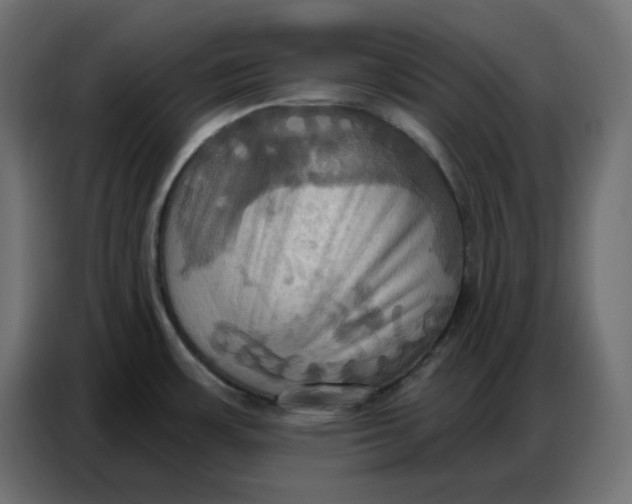 X0000086751483200705041417