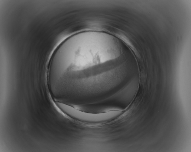 X0000086751484200705041417