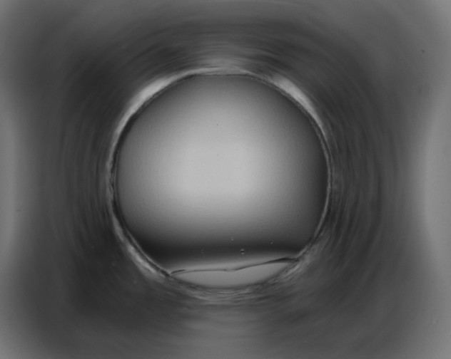 X0000086751485200705041417