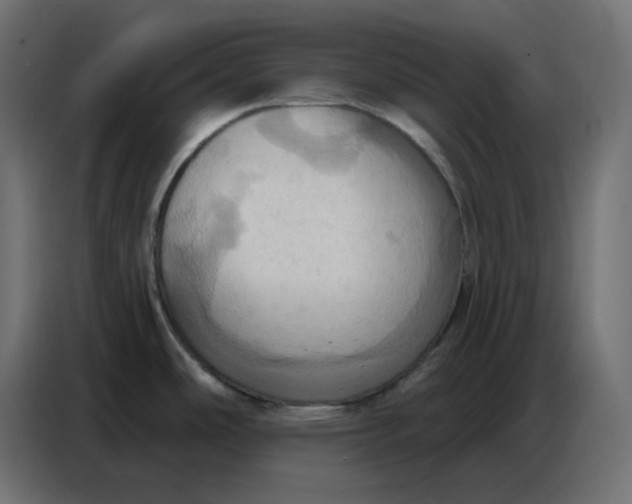 X0000086751486200705041417