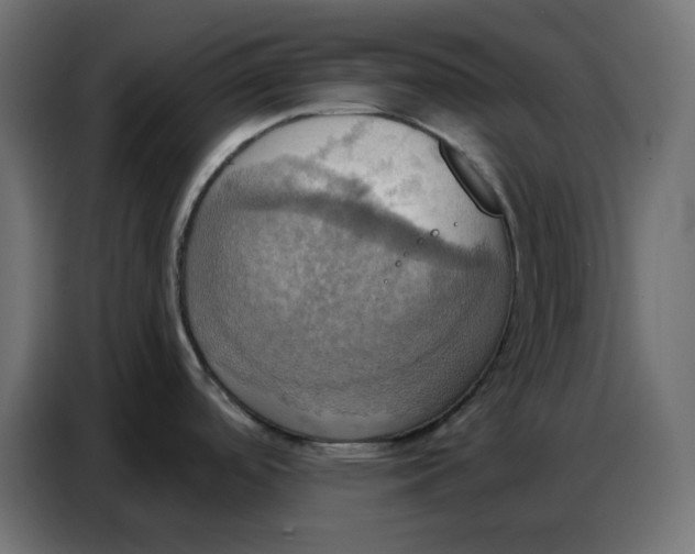 X0000086751488200705041417