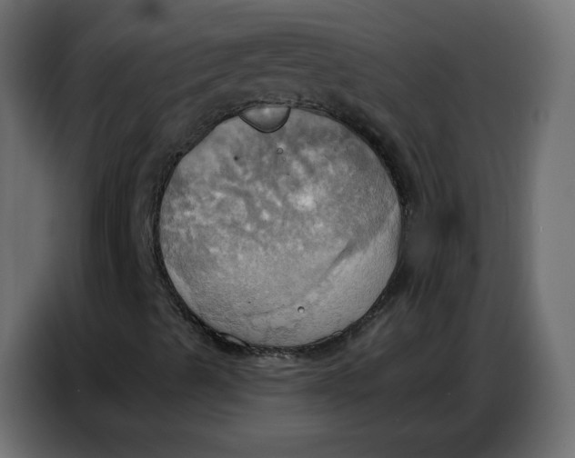 X0000086751489200705041417