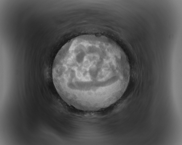 X0000086751490200705041417