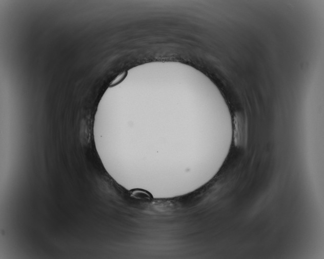 X0000086751491200705041417