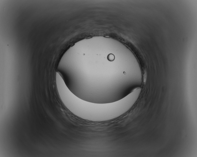 X0000086751492200705041417