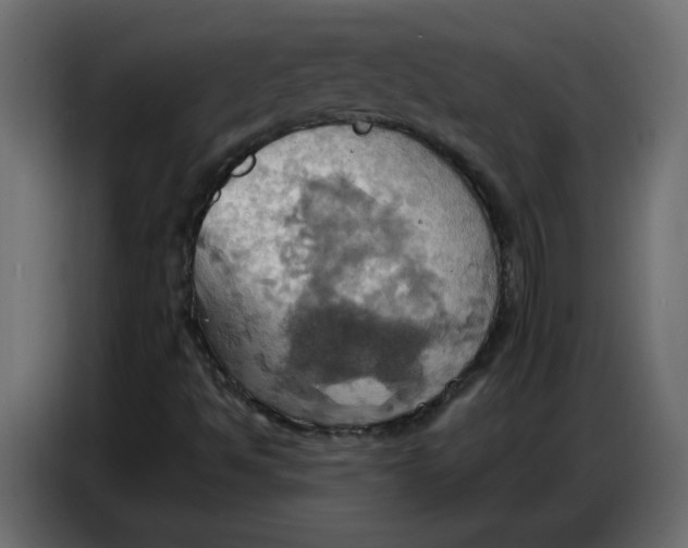 X0000086751494200705041417