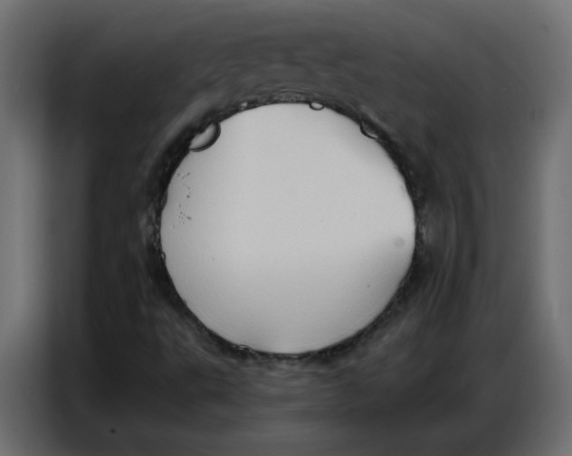 X0000086751495200705041417