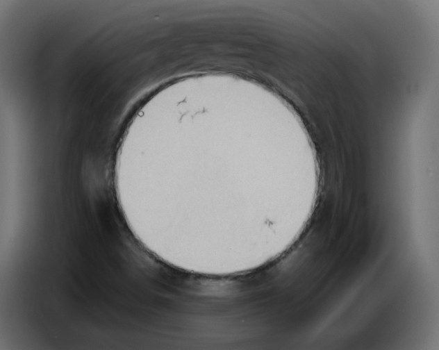 X0000086751498200705041417