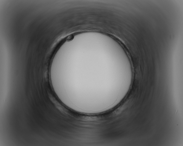 X0000086751499200705041417