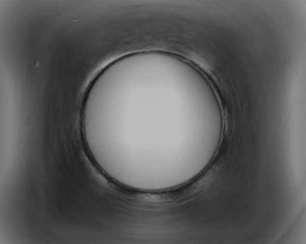 X0000086751500200705041417