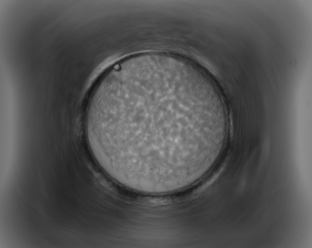 X0000086751501200705041417