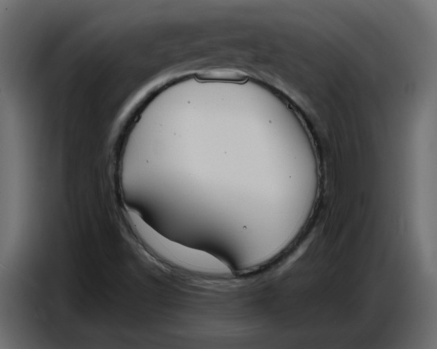 X0000086751502200705041417