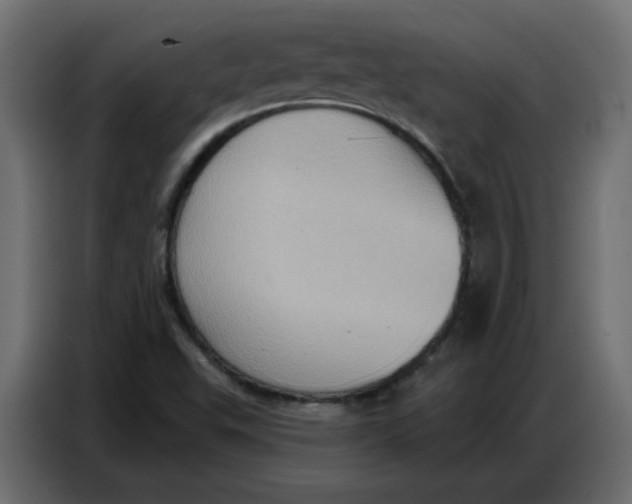 X0000086751503200705041417