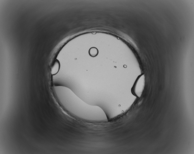 X0000086751504200705041417