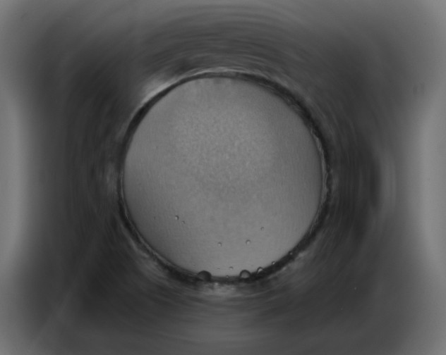 X0000086751505200705041417