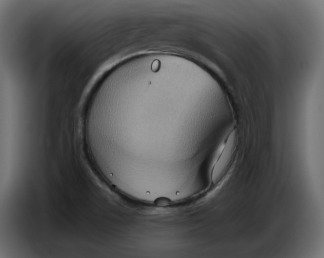 X0000086751506200705041417