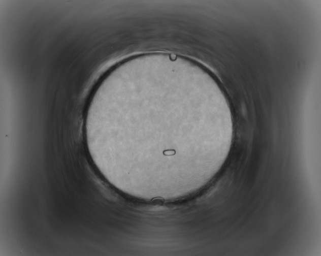 X0000086751507200705041417