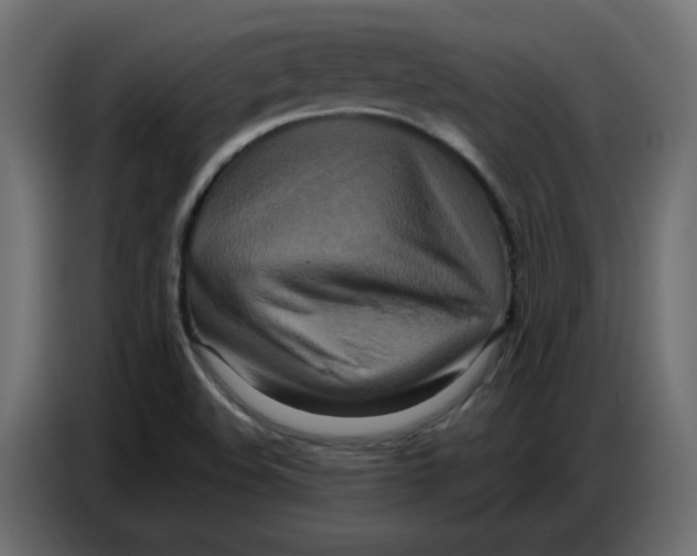 X0000086751508200705041417