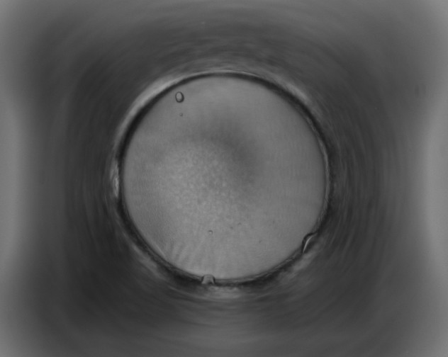 X0000086751509200705041417