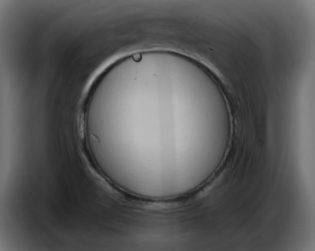 X0000086751510200705041417