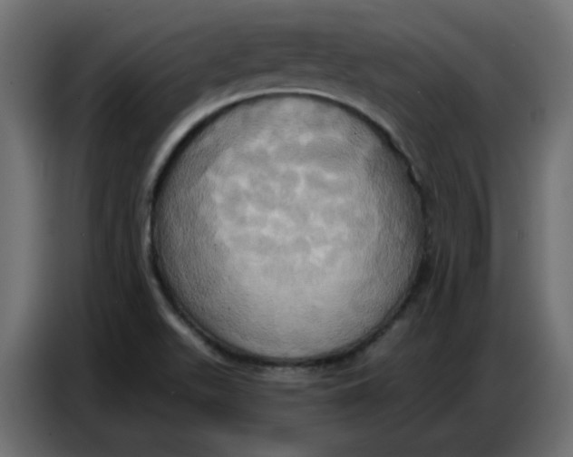 X0000086751511200705041417