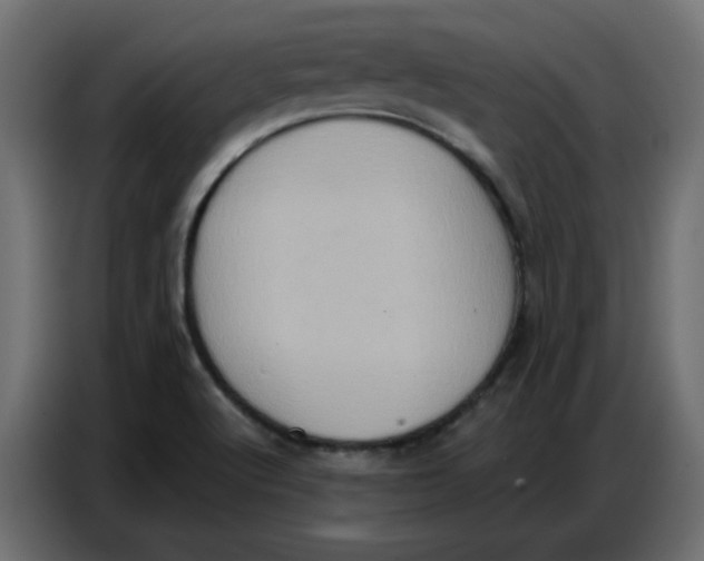 X0000086751512200705041417