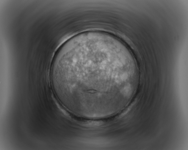 X0000086751513200705041417