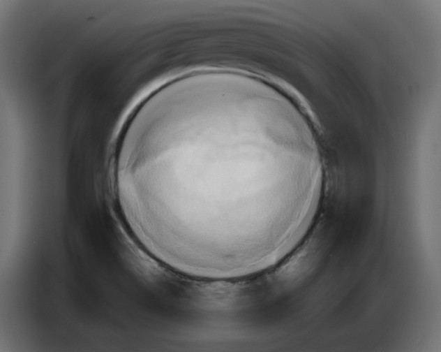 X0000086751514200705041417