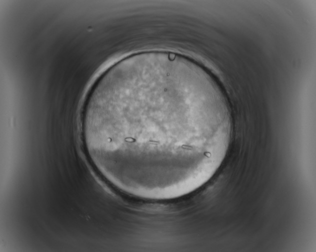 X0000086751517200705041417