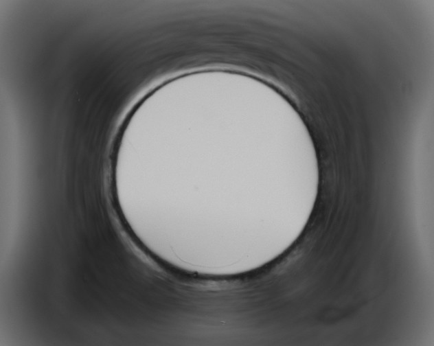 X0000086751518200705041417