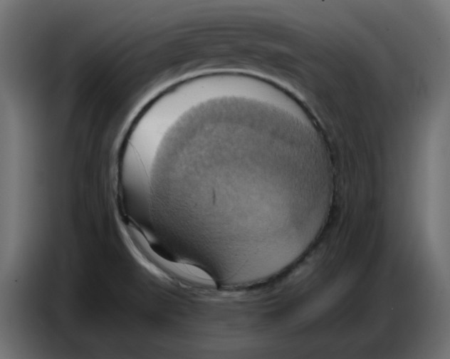 X0000086751519200705041417