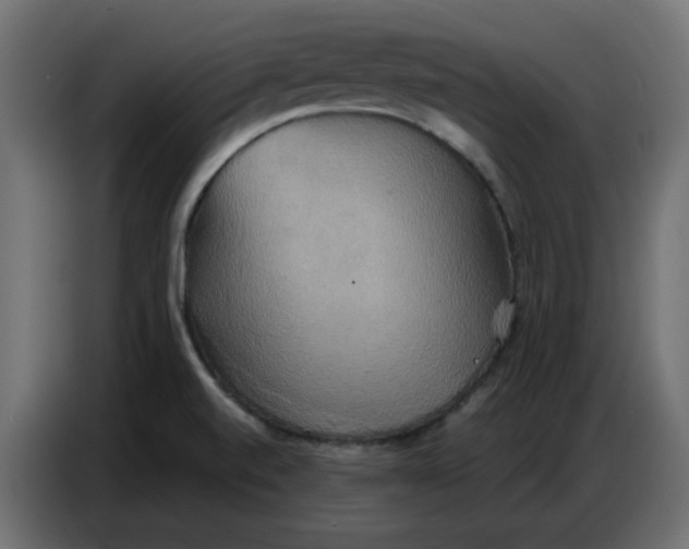 X0000086751520200705041417