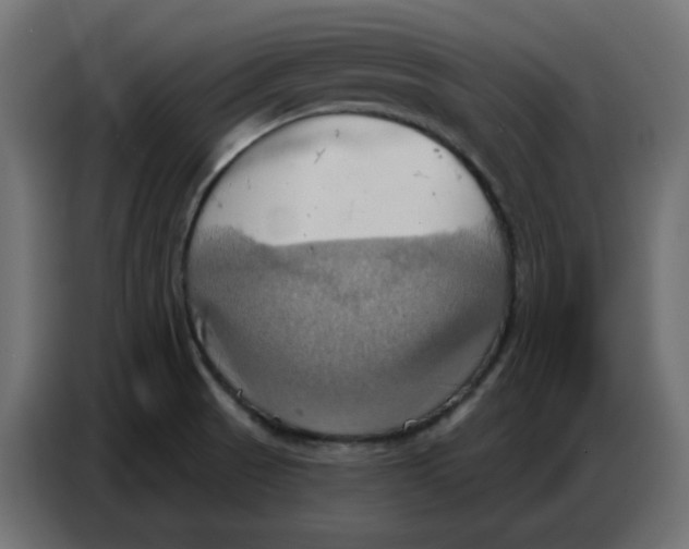 X0000086751521200705041417