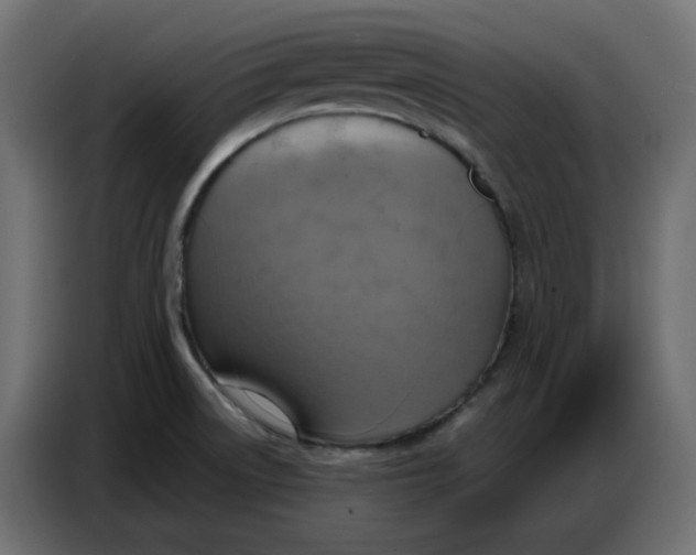 X0000086751522200705041417