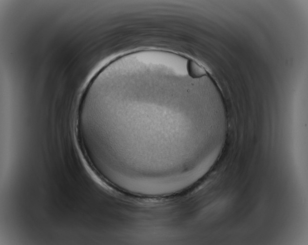 X0000086751523200705041417