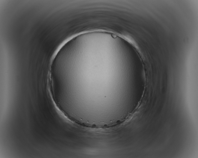 X0000086751524200705041417