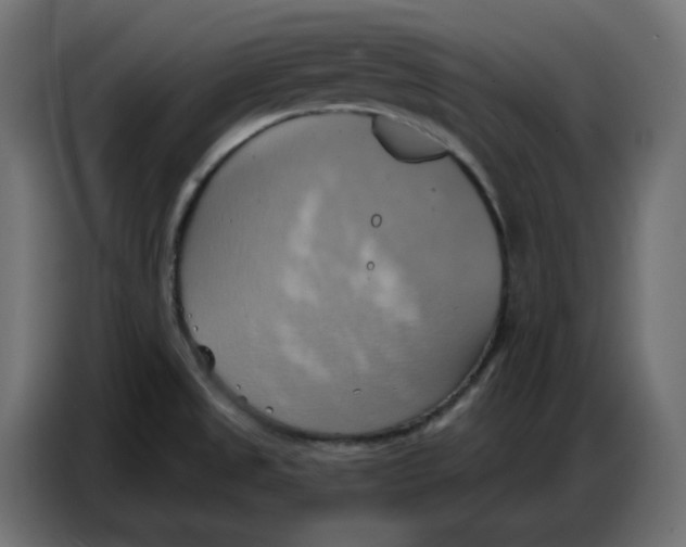 X0000086751525200705041417