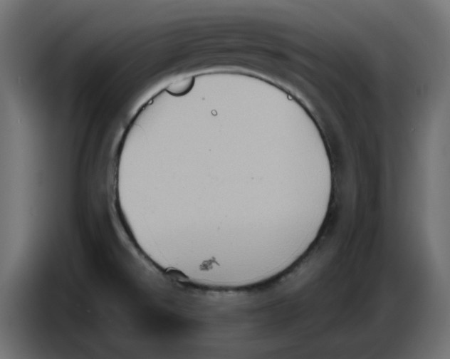 X0000086751526200705041417