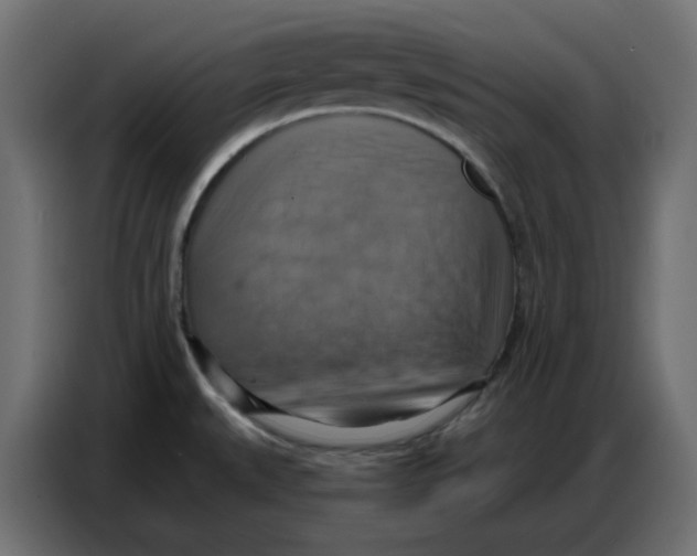 X0000086751527200705041417