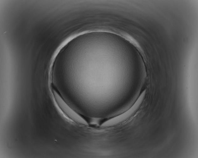 X0000086751528200705041417