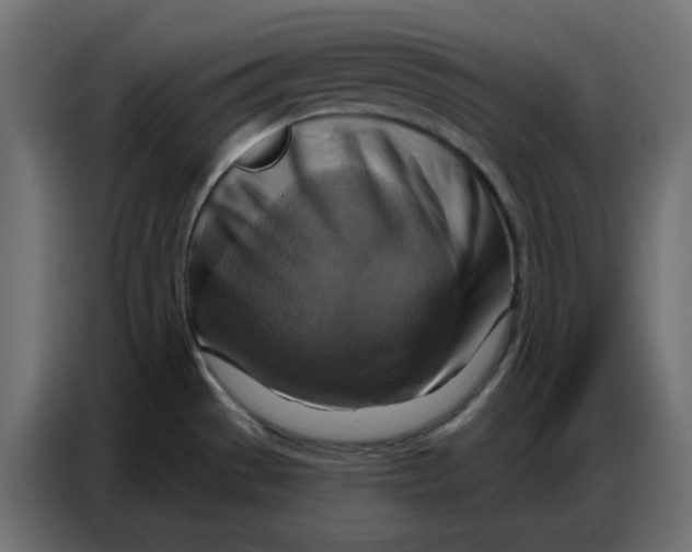 X0000086751529200705041417