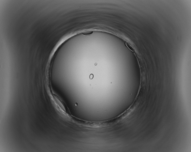 X0000086751530200705041417