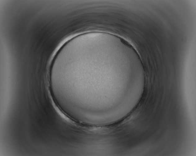 X0000086751531200705041417