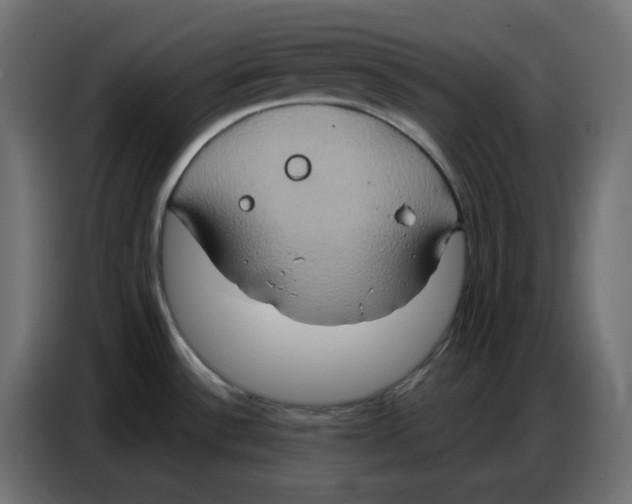 X0000086751532200705041417